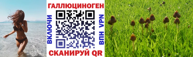 Галлюциногенные грибы Psilocybe  Вельск 